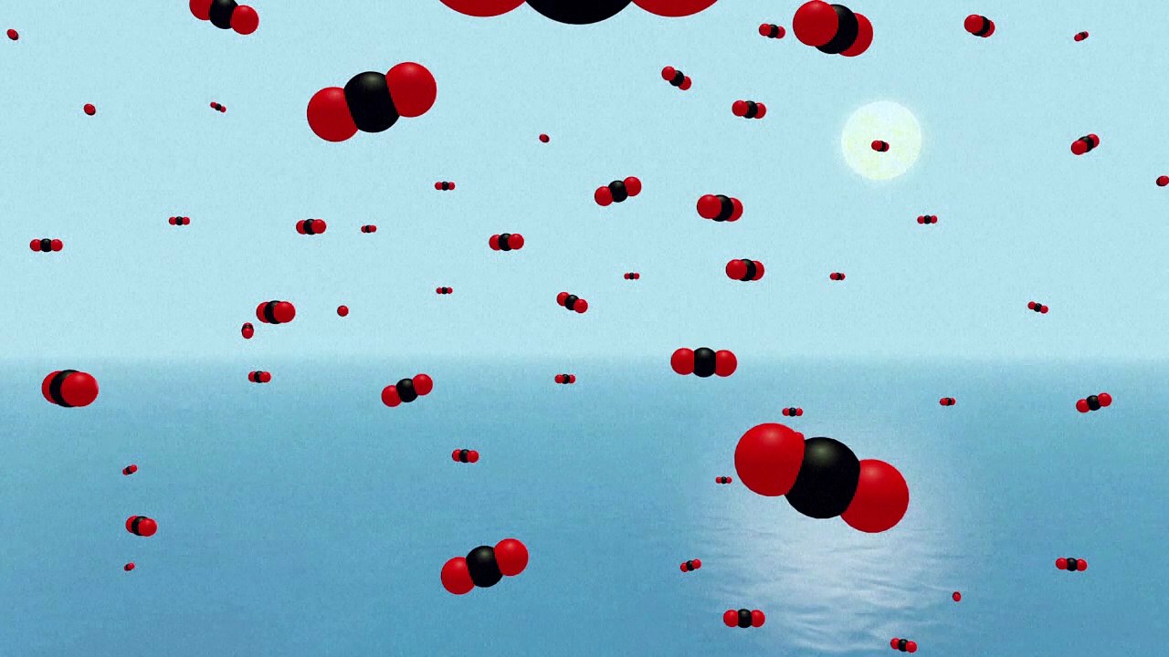 L'acidification des océans