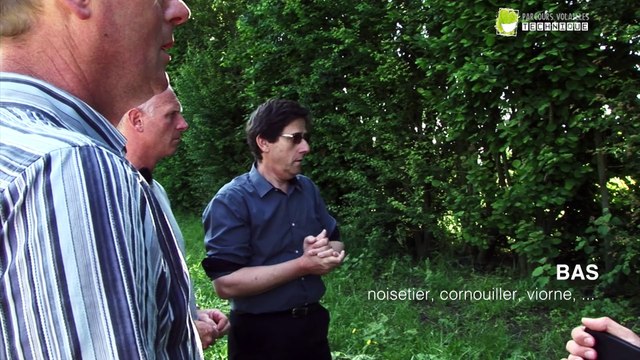 Une haie dans les parcours de volailles - fonctions / entretiens