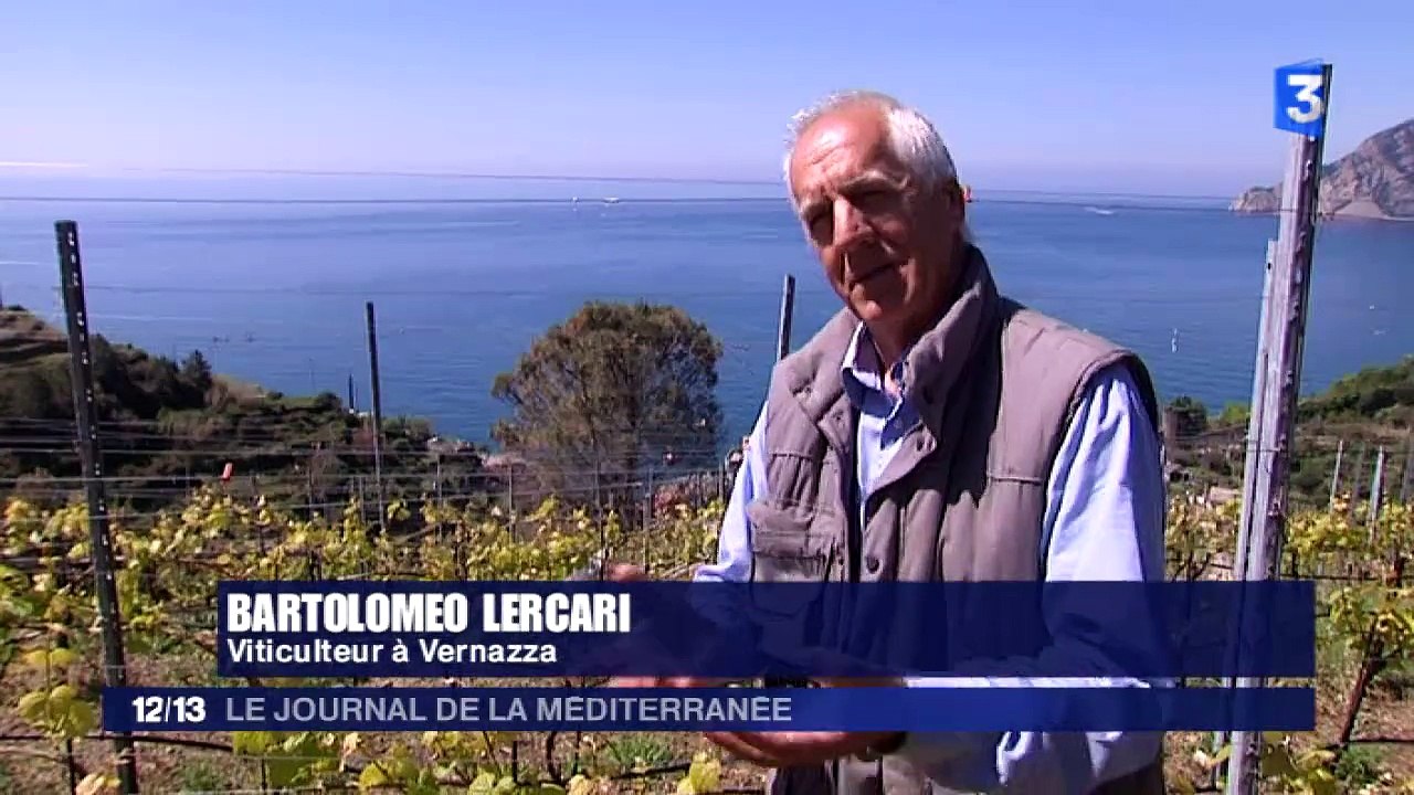 France 3 - Journal de la Méditerranée - Samedi 5 Décembre 2015