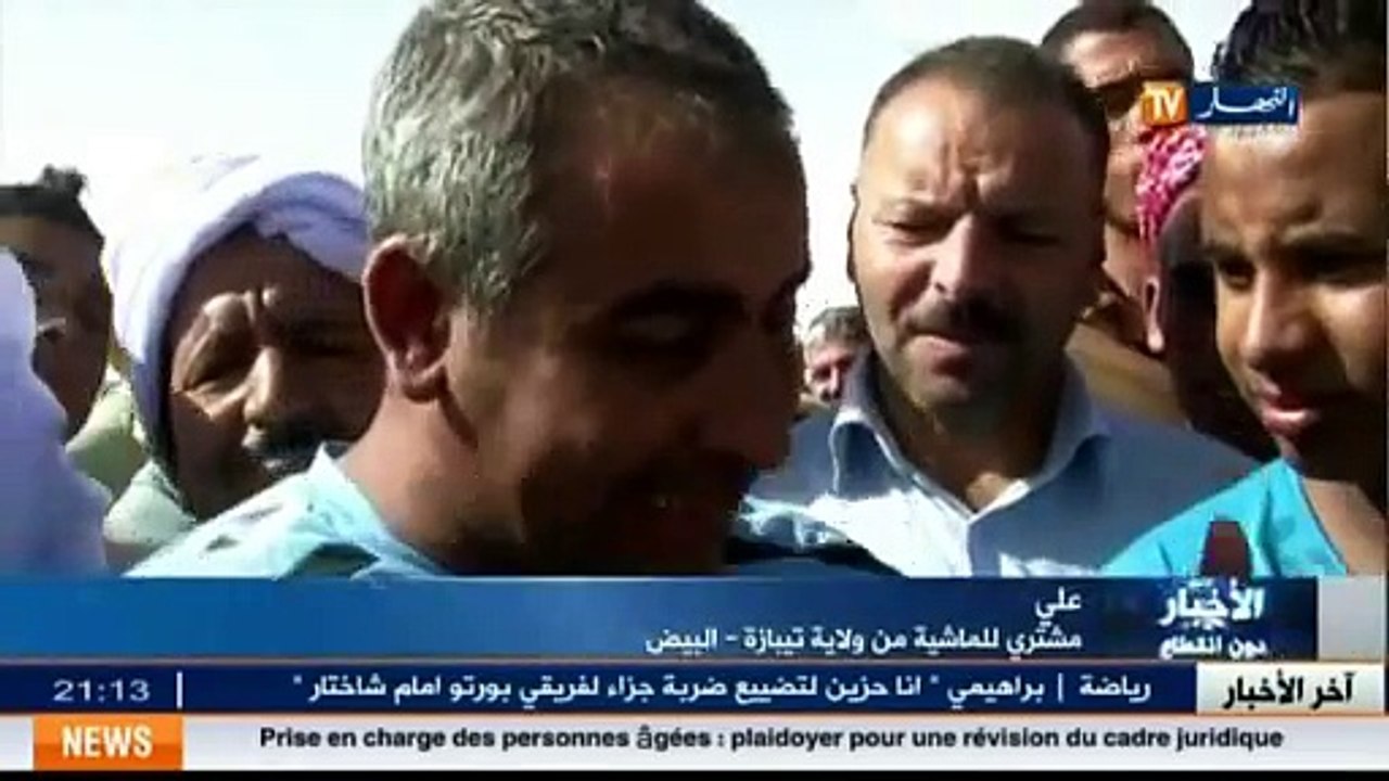 El Bayadh  la fête de l’aïd…les prix élevés des moutons trouble les Algériens