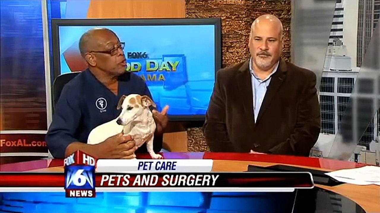 WBRC Fox 6 - Holiday Safety For Pets Dr. Jerome Williams & Dr. Tony Ballagas