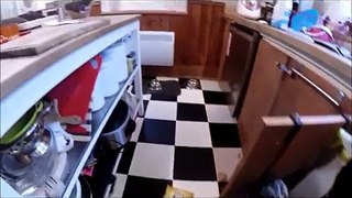 He Was About To Punish His Dog For Getting Into The Garbage, 'Til He Saw This Hilarity.