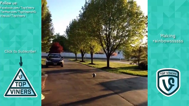 Ultimate Lance210 Vine Compilaiton 2015 - All Lance210 Vines with Titles! - Top Viners ✔