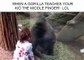 Quand un gorille apprend à une petite fille à faire un doigt d'honneur