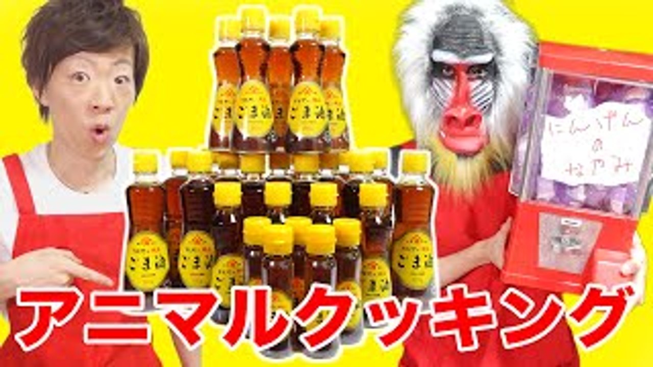 セイキンとマンドリルのアニマルクッキング♪