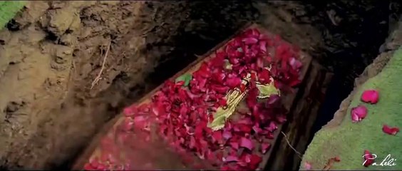 Vivah 2 Exclusive Trailer á´´á´° - March 2015 - FT Shahid Kapoor, Amrita Rao