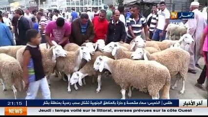 Les marchés du bétail  l achat et la vente sans factures ... qui est responsable