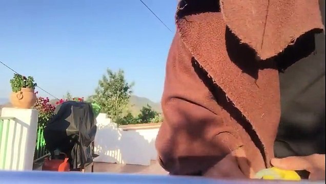 Après avoir passé un bon bout de temps loin de chez lui, il fait une sacrée surprise à sa chienne