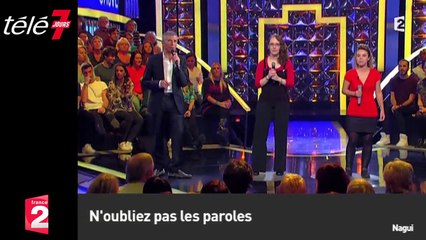 Le zapping du 02/12 : Des bébés tigres trop choupinous