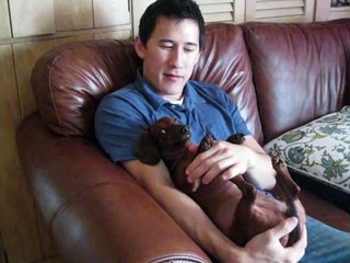 Funny Animals: Markiplier Sings with a Puppy