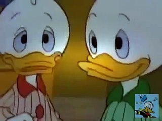 New!! बतख कार्टून Duck Tales Hindi DVDRip Vol 3 | Jenine Blouin