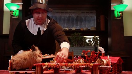 Funny Animals: A Tiny Hamster Thanksgiving (Ep. 4)
