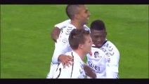 David N'Gog Goal - Guingamp 0-1 Reims - 02-12-2015 France Ligue 1