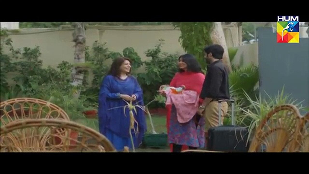 Mohabbat Aag Si Last Episode 38 on Hum Tv - 2nd November 2015