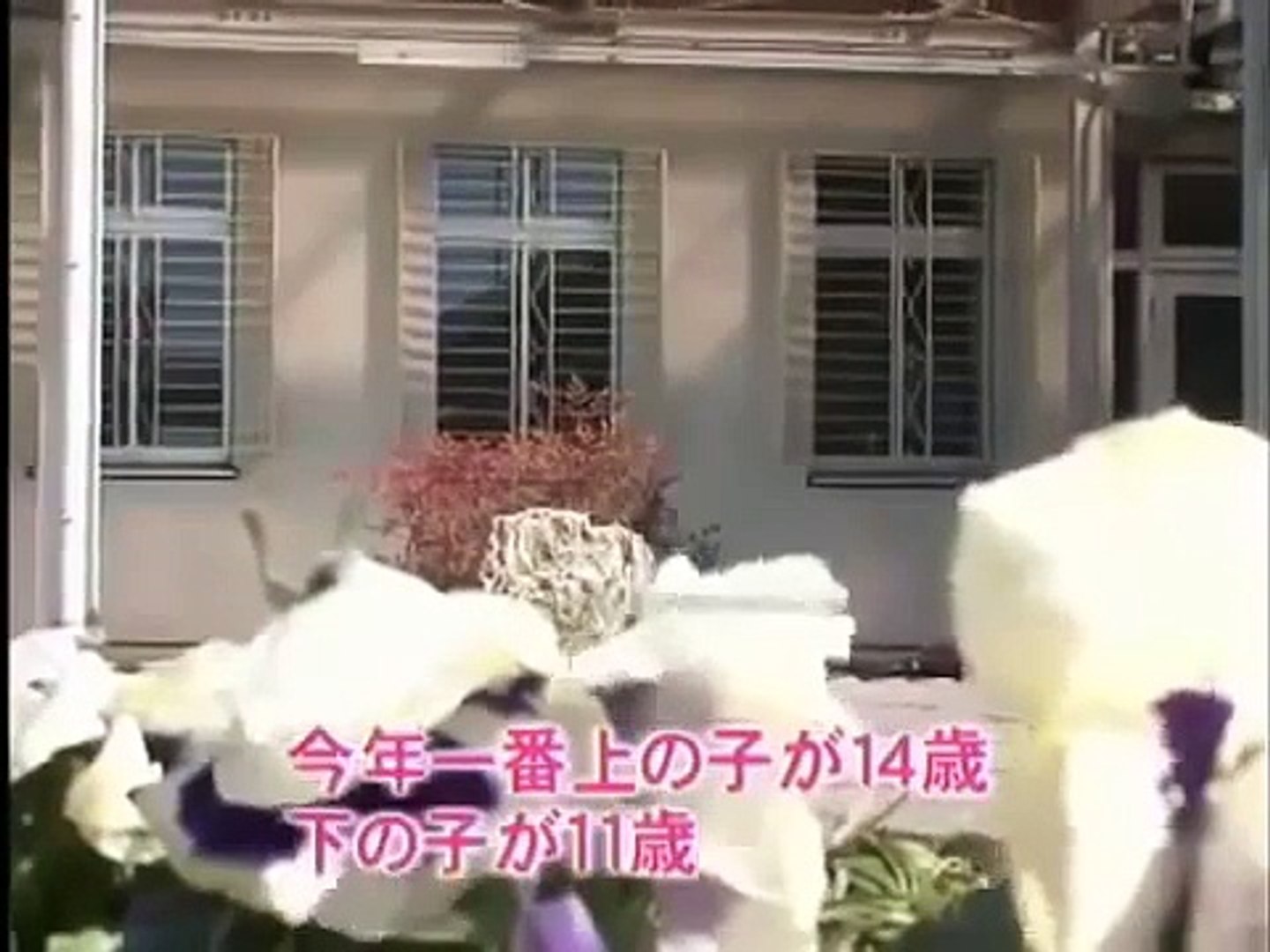 Best Japan Movie 映画 女子刑務所 Dailymotion Video