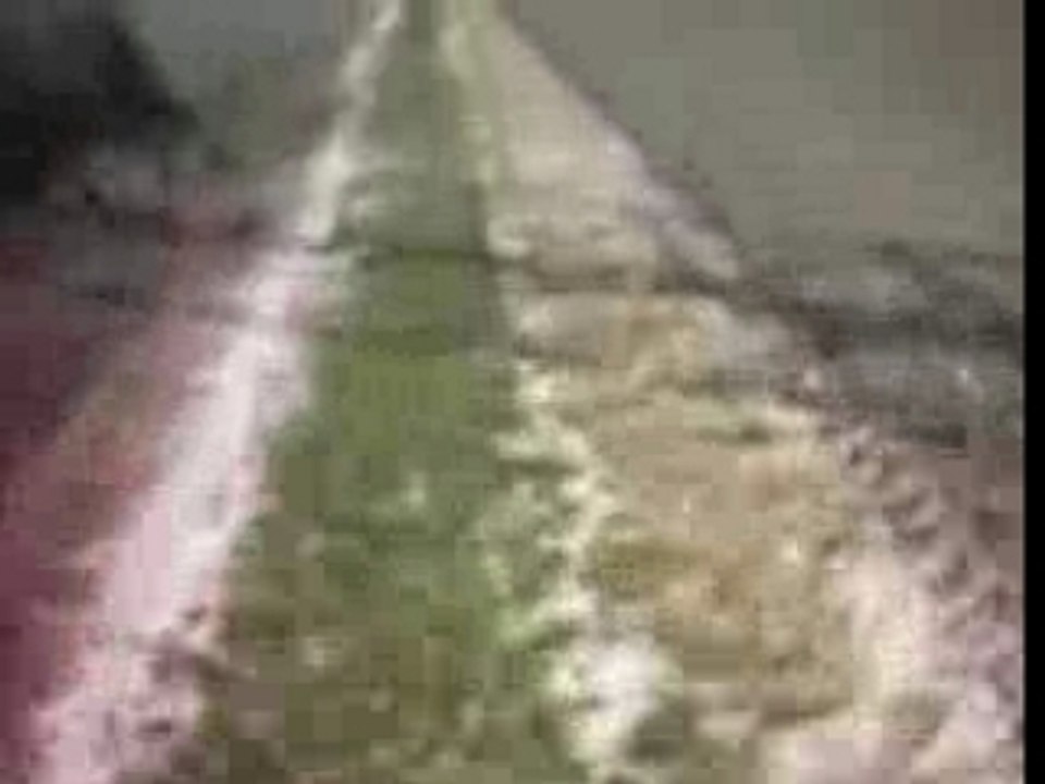 kx 125 2001