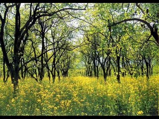 130149947_mp4_h264_aac_hq TUM CHALA AO PHARON KR QISAM INDAIN SONGS-BAST SONG