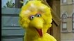 Sesame Street Big Bird Wants a New Name (Part 1)