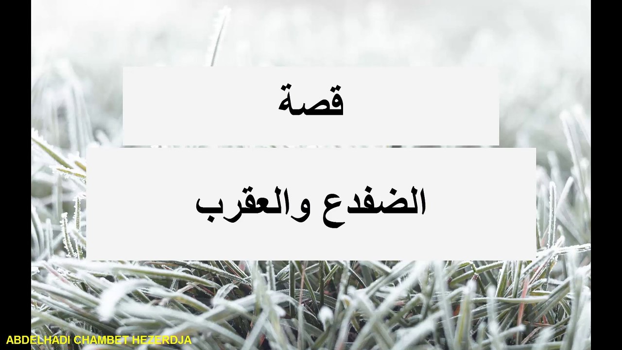 قصة الضفدع والعقرب