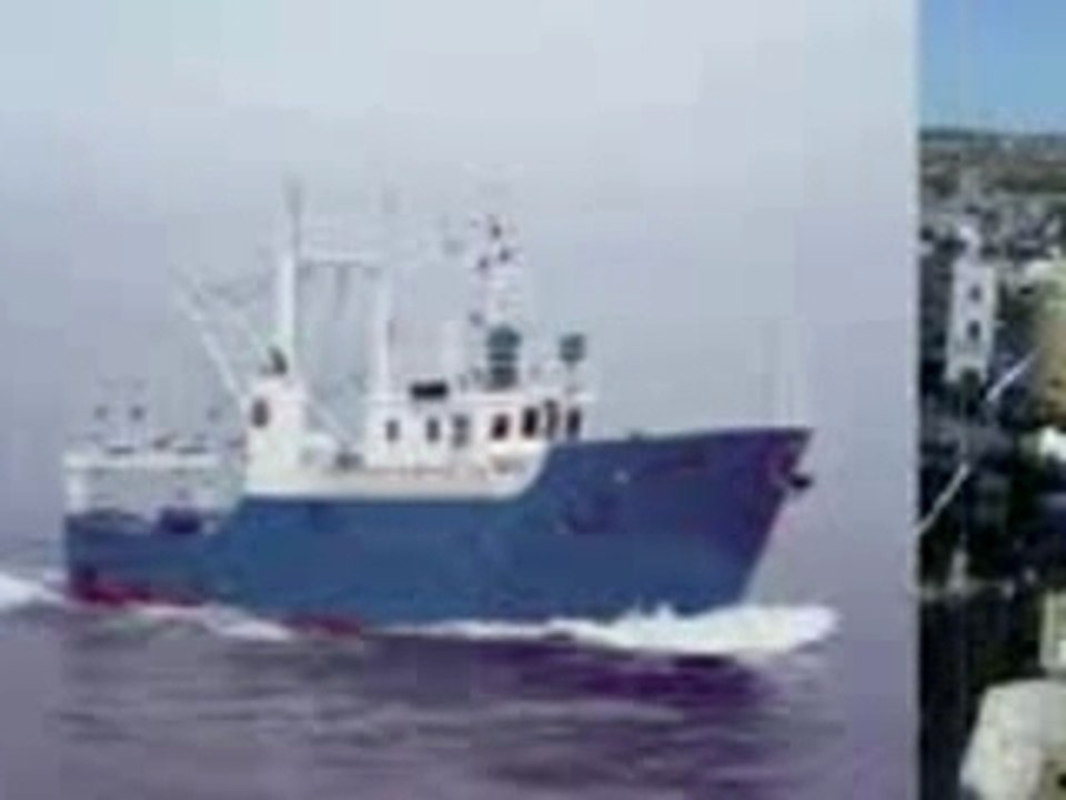 Tiraline asfi