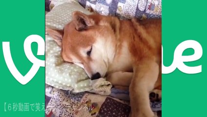 ５月最新おおぜきれいか 面白動画３０連発 Reika Oozeki