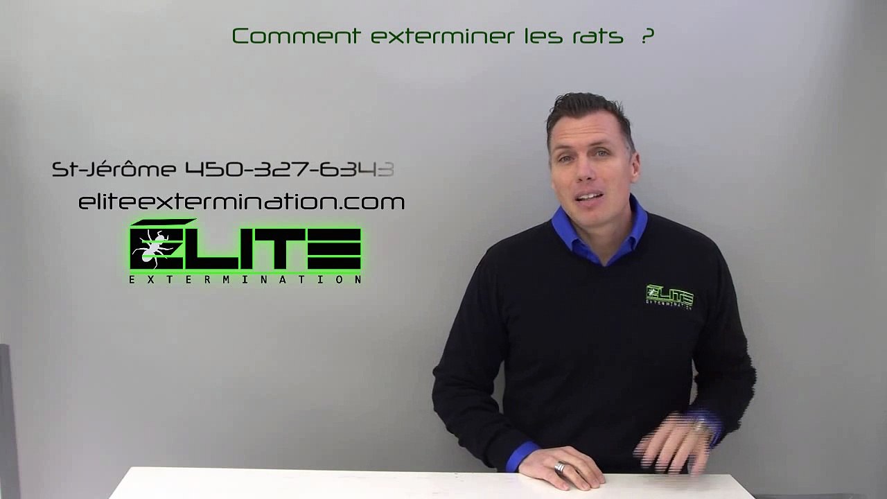 COMMENT EXTERMINER LES RATS? ( Élite Extermination )