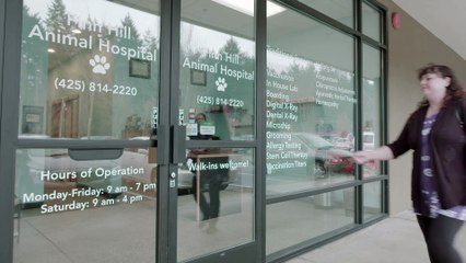 Welcome to Finn Hill Animal Hospital