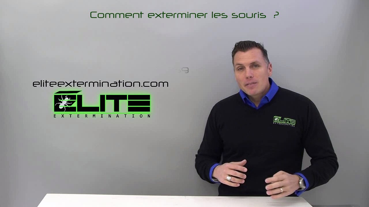 COMMENT EXTERMINER LES SOURIS? ( Élite Extermination )
