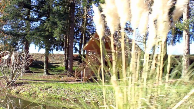 Les Cabanes De La Petite Sapiniere | La Cabane Spa de Céline