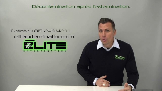DÉCONTAMINATION APRES EXTERMINATION ( Élite Extermination )