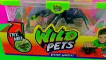 Shopkins Visit Interactive Attack Wild Pets Exclusive Spider In Cage Habitat at Zoo - Cook