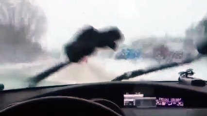 Сперли дворники. Обращение к вору