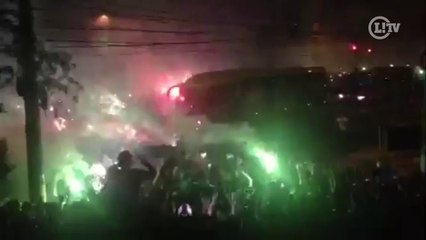 Torcida faz grande festa na chegada do Palmeiras ao Allianz