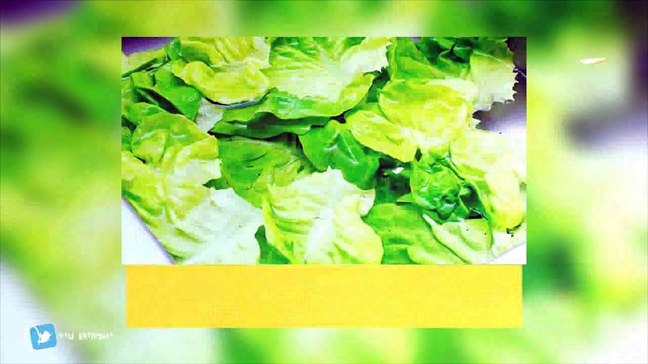 lattuga avvolge asiatico