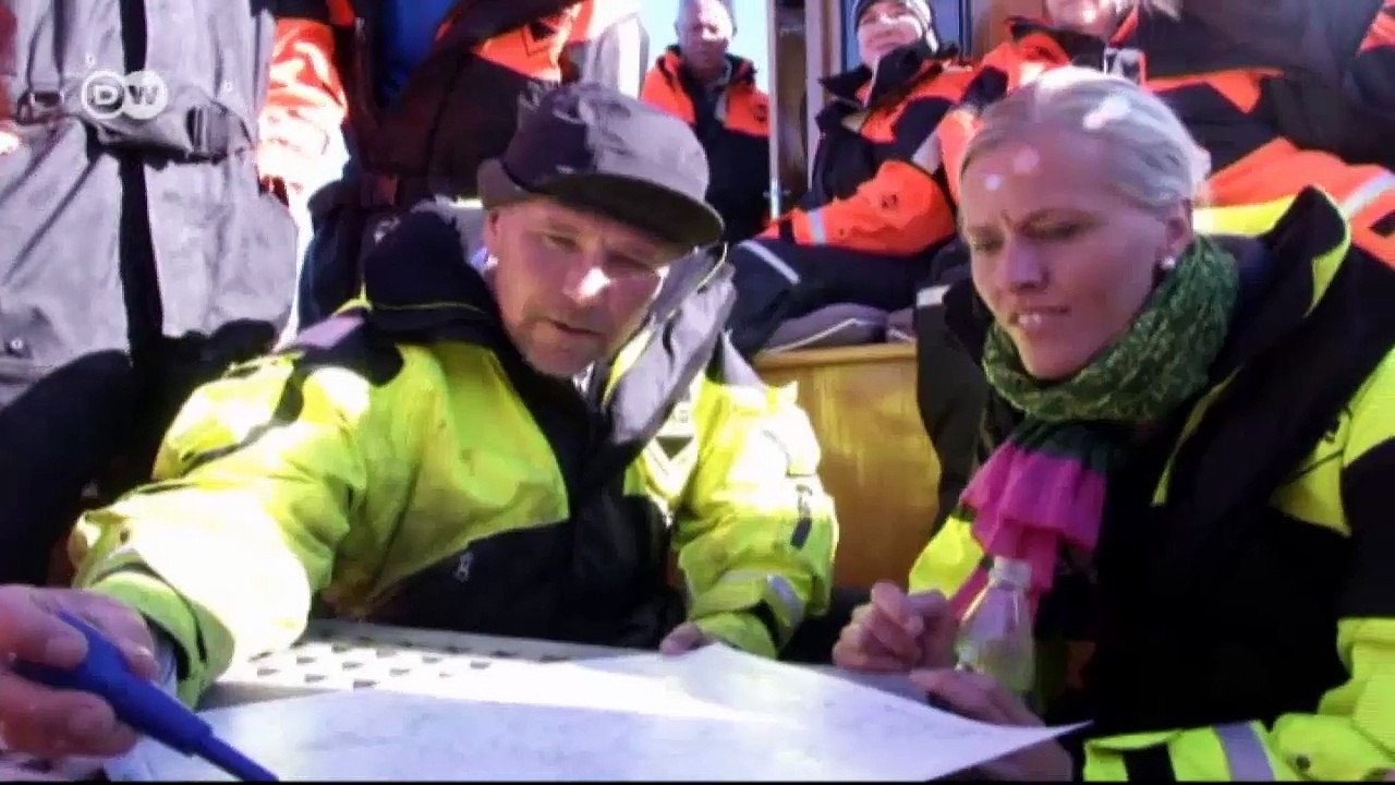 Safaris de langosta en Suecia | Euromaxx