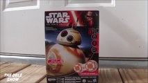 Star Wars BB-8 Hasbro RC Toy Unboxing,Assembling,Testing Review With Kids   Boston Terrier Dog (Target Exclusive)