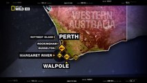 Wild Discovery animals - Australias Deadliest Shark Coast - Discovery channel documentary