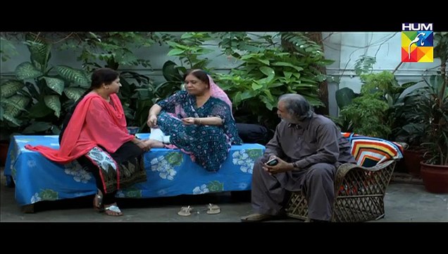 Tum Mere Paas Raho Last Episode 20 on Hum Tv in High Quality