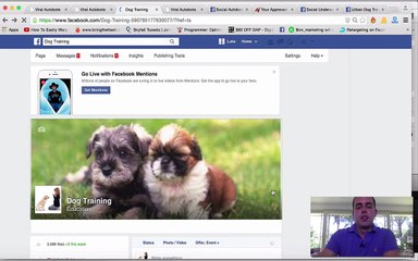 Viral Autobots Review