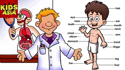 Let Us know Our Body External | Kids Animated Story in English | Kids Asia