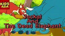 Jackal And The Dead Elephant | Kids Animated Story | Tales Of Panchatantra | Kids Asia