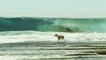 Skuff TV Surf - African Point Break Perfection
