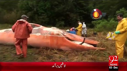 92Seconds – 03 Dec 15 - 92 News HD