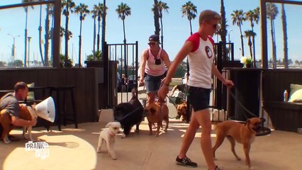 All Dogs Must Go: Epic Pet Adoption - Prank It FWD