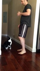 Le meilleur câlin de chat de tous les temps