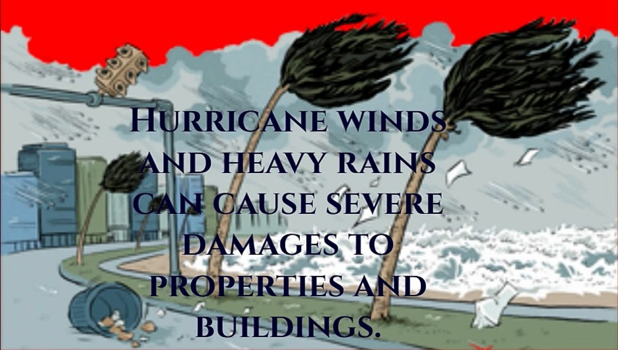 Tips to Select quality hurricane windows