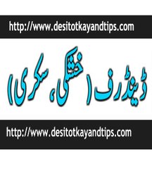 Balon ki Khushki(dandruff) sekri khatam-Desi totkay and tips