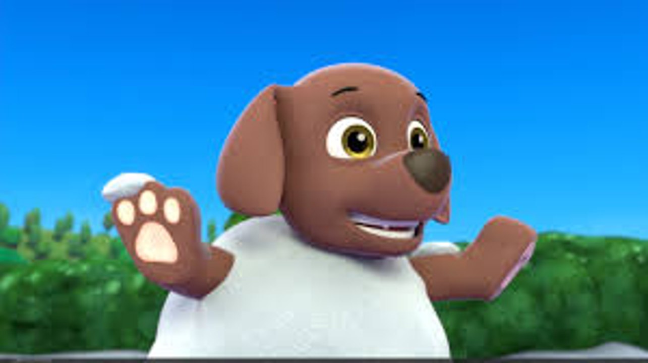 Paw Patrol Academy Game - Paw Patrol Cartoon Nick JR English - Paw Patrol full Episodes