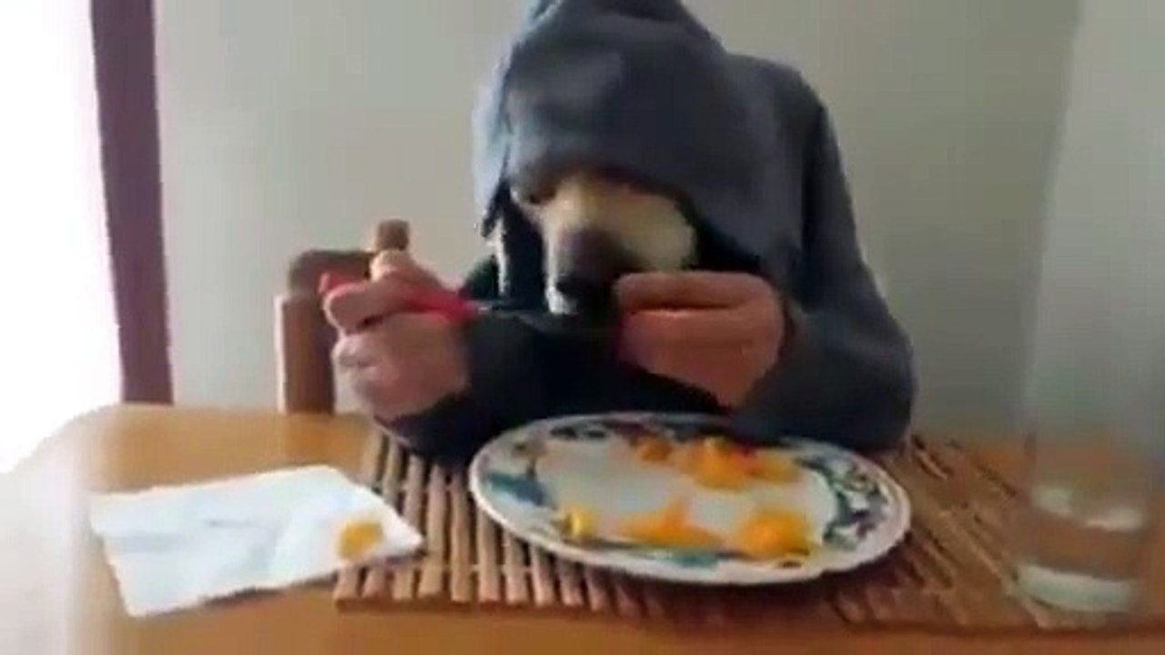 Hungry