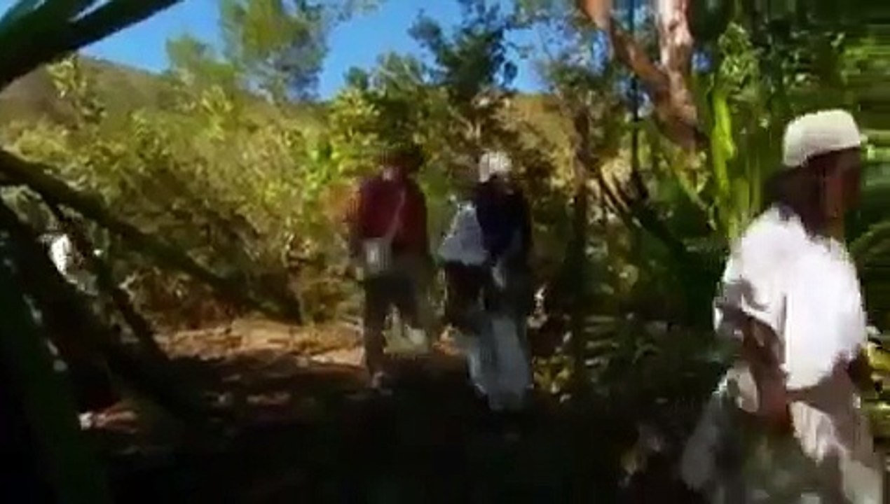 「ナショジオ オンデマンド動画」【ゲリラの虐殺】から自然界とスピリチュアルの調和を守る、南米コロンビアの先住民タイロナ、最果ての光２